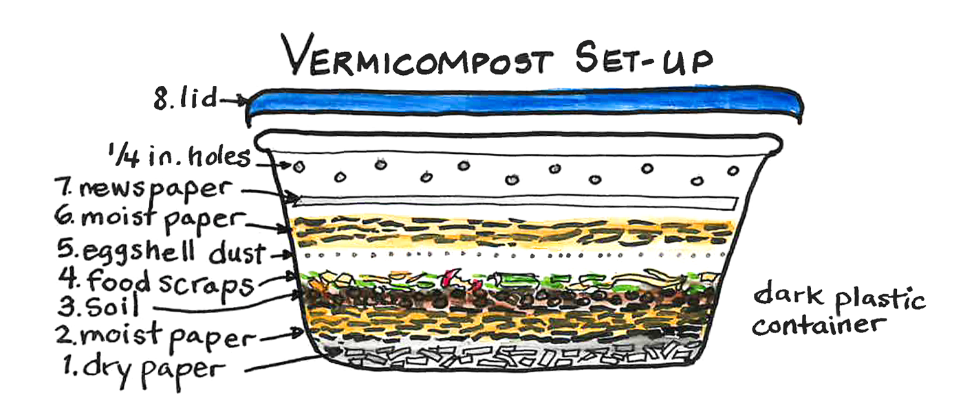 The 2025 Complete Worm Composting Guide: Everything You Need to Know Complete worm composting setup diagram